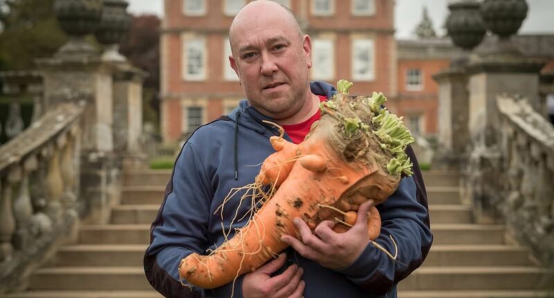 Gardeners showcase giant veg at UK's biggest autumn gardening show