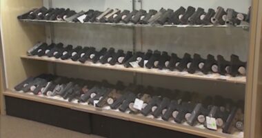 Georgia lawmakers to push new gun safety bills in 2026 session