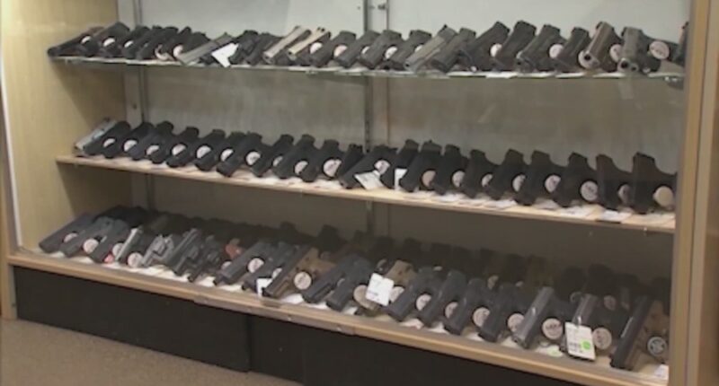 Georgia lawmakers to push new gun safety bills in 2026 session