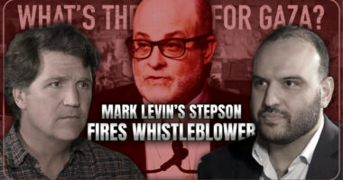Ghoreishi Fired by Levin's Stepson for Not Echoing Israel Policy
