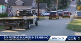Girl, 11, saves mother from father's brutal attack: Cops