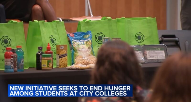 Gov. JB Pritzker, Chicago Mayor Brandon Johnson celebrate launch of Food Security for Life initiative at City Colleges