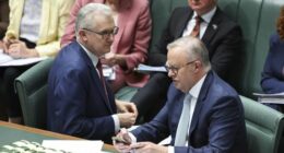 Minister for Home Affairs, Minister for Immigration and Citizenship, Minister for Cyber Security, Minister for the Arts and Leader of the House Tony Burke and Prime Minister Anthony Albanese during Question Time at Parliament House in Canberra on Tuesday 2 September 2025.