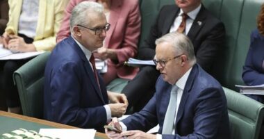 Minister for Home Affairs, Minister for Immigration and Citizenship, Minister for Cyber Security, Minister for the Arts and Leader of the House Tony Burke and Prime Minister Anthony Albanese during Question Time at Parliament House in Canberra on Tuesday 2 September 2025.