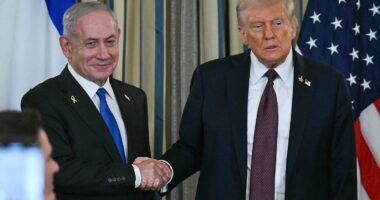 Hamas considers Trump's Gaza plan which would see them hand over arms