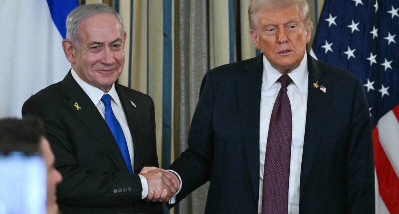 Hamas considers Trump's Gaza plan which would see them hand over arms