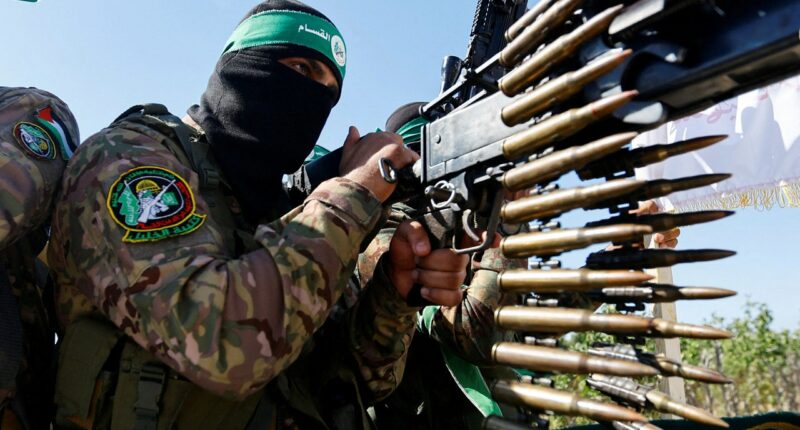 Hamas plots infiltration at US-backed Gaza aid site, forces temporary shutdown