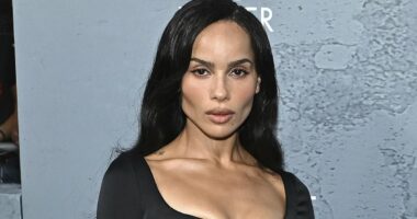Harry Styles and Zoe Kravitz 'hold hands' amid claim they're FWB