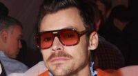 Harry Styles' neighbours 'raise concerns' over £30M mega-mansion