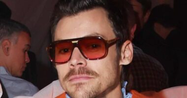 Harry Styles' neighbours 'raise concerns' over £30M mega-mansion