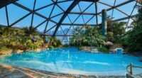 Have the middle classes fallen out of love with Center Parcs?