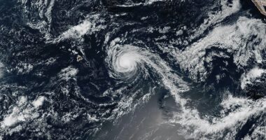 Hawaii declares state of emergency as Kiko barrels toward islands