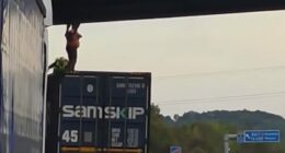 Hero lorry driver reveals how he saved man on motorway bridge