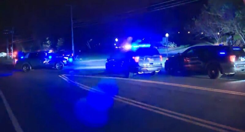 Hero takes down gunman at wedding reception that left one dead