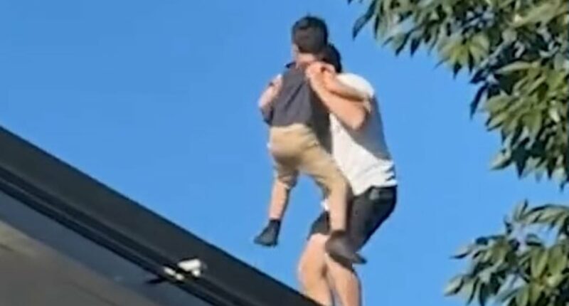 Hersheypark hero reveals moment he spotted boy on edge of monorail