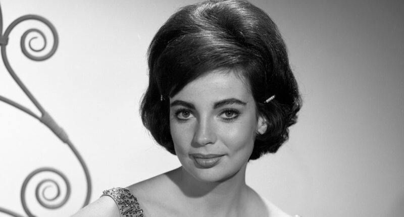 Hollywood siren who PREDICTED JFK's assassination... then murdered