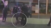 Hospital under fire for forcefully evicting man with walking frame