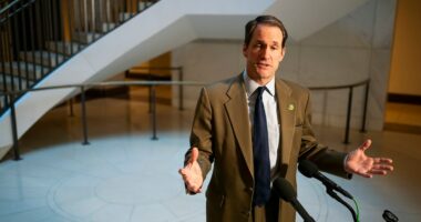 House Intel Democrats launch probe into Trump revocation of security clearances