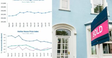 House prices reach new record high but are only up £600 this year
