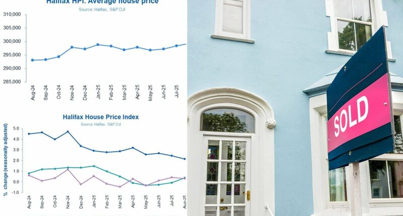 House prices reach new record high but are only up £600 this year