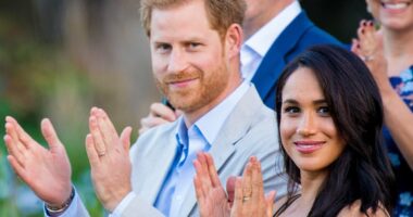 How Prince Harry and Meghan Markle's 'disruptive' role within the Royal Family is driving an online fascination with the couple