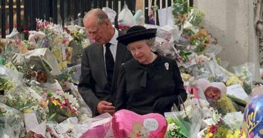 How one little girl's gesture helped save the 'badly damaged' Royal Family: Royal author on the heartfelt moment that helped pull the monarchy back from the brink after Diana's death - and the TV Interview that changed everything