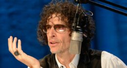 Howard Stern deploys USAF commando on 'mole hunt'