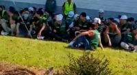 Hundreds detained at Hyundai plant after raid