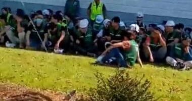 Hundreds detained at Hyundai plant after raid