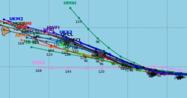 Hurricane Kiko will make historic direct hit on US, models predict