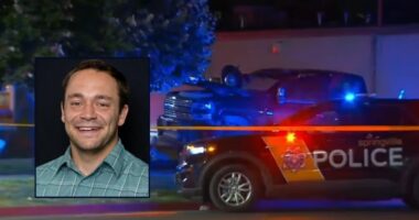 Husband dies protecting newlywed wife from drunk driver: DA
