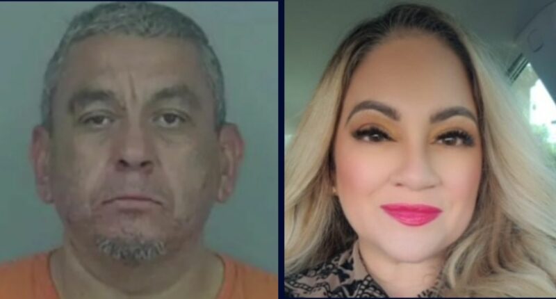 Husband stabbed estranged wife 43 times in front of son