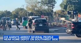 ICE Chicago Operation Midway Blitz: ICE agents arrest several people at 2 Home Depot stores on Southwest Side, across city