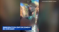 ICE Chicago news: Video appears to show arrest at 24th and Albany 1 day after Little Village parade for Mexican Independence Day