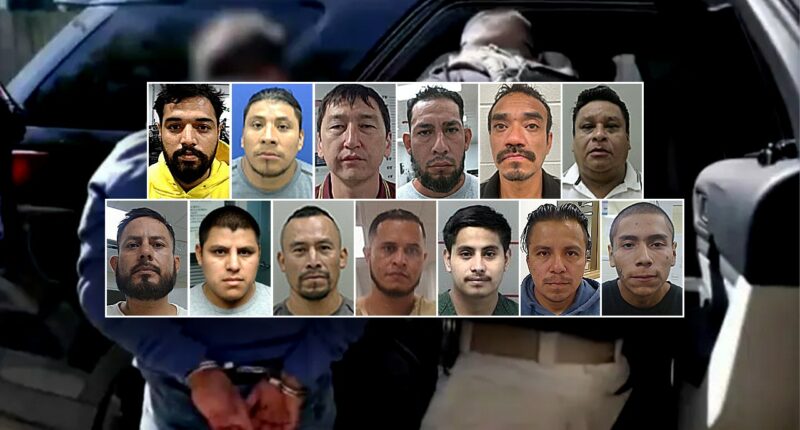 ICE arrests 'pedophiles, rapists, abusers' in Chicago sanctuary city crackdown operation