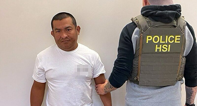 ICE arrests suspected MS-13 gang member who was living 'just steps' away from middle school