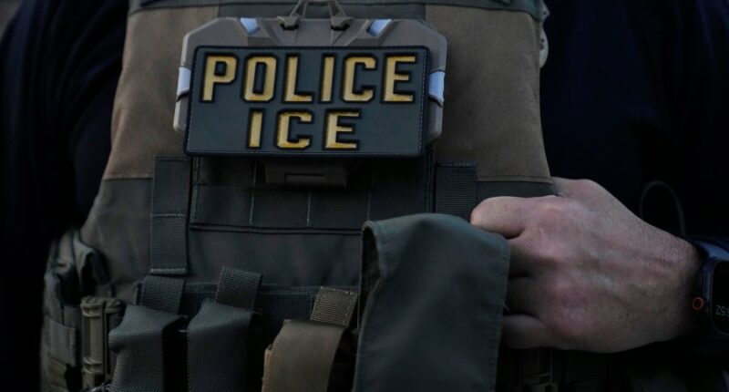ICE denies using excessive force as it broadens immigration arrests in Chicago