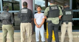ICE deports Mexican illegal immigrant accused of aggravated rape against family member