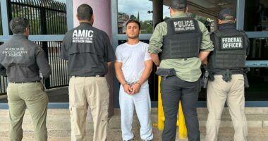 ICE deports Mexican illegal immigrant accused of aggravated rape against family member