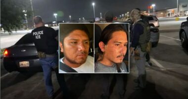 ICE recaptures illegal immigrants who escaped after allegedly choking Border Patrol agent