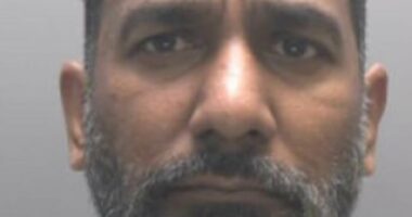 Illegal immigrant fraudster who made £8.5m in property swindle jailed