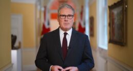 In authoritarian new plan, citizens will be forced to carry ID cards