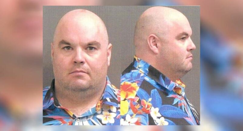 Indiana man arrested, caught on camera harming cat: court docs