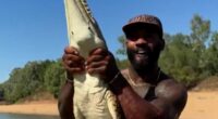 Influencer under investigation over crocodile wrangling