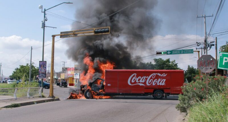 Inside the Sinaloa cartel: One year of terror