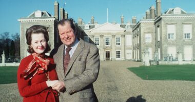 Inside the missing millions scandal that still haunts Diana's family - and truth about stepmother 'Acid Raine' who would have turned 96 today