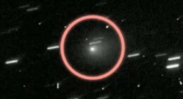 Interstellar object spotted carrying mysterious companion