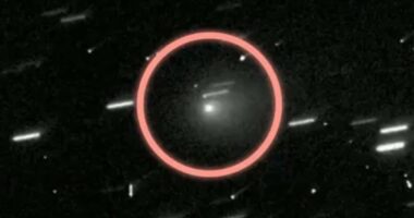 Interstellar object spotted carrying mysterious companion