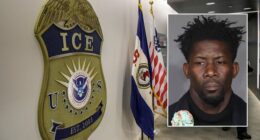 Iowa school superintendent resigns after ICE arrest rocks Des Moines district