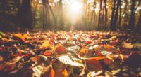 Is today the first day of fall?